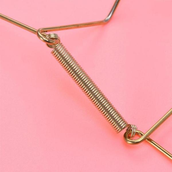 プレートハンガー お皿 壁掛け フック 全6サイズ : STKショップ - 通販