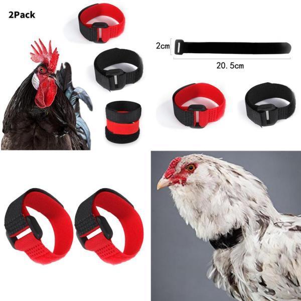 2ピース/個Chicken Collar  Crow Rooster Collarに適用Poultry Chicken｜stk-shop｜08