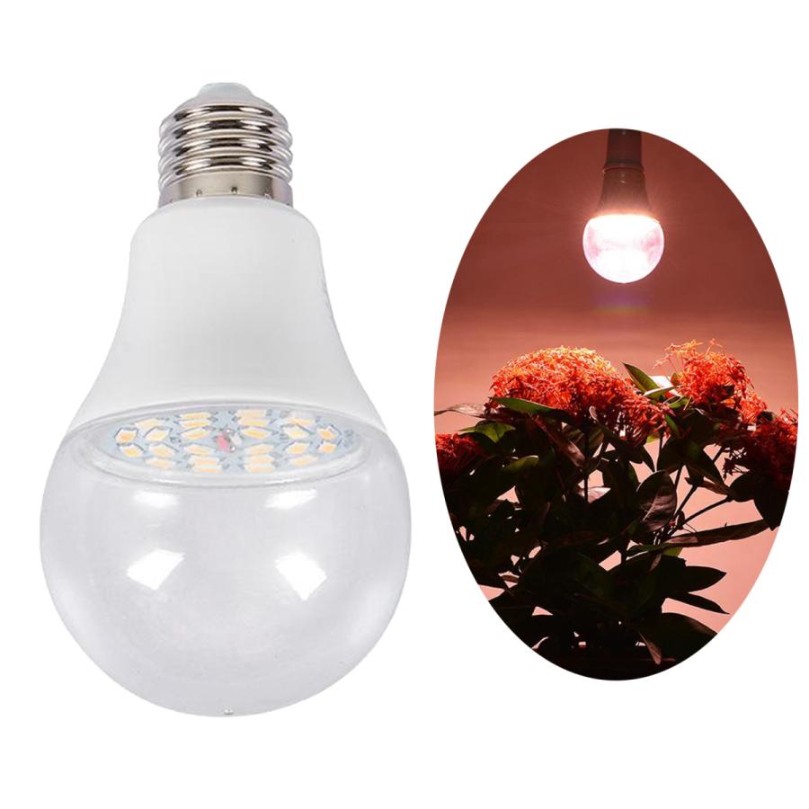 4ヘッド Led電球 水草栽培 植物育成用適用 温室水耕栽培 室内植物育成ライト 高輝度 水耕栽培ランプ 送料無料 Staraba プレゼント ギフトのギフトモール 温室屋内植物のためのフルスペクトル植物ランプ 1個 白 Studio Ellis Be