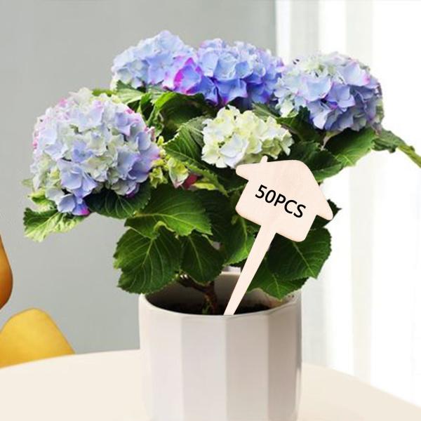 プラスチック製植木鉢 50個 植物栽培ボックス 保育園用 家や庭の装飾 Aliexpress ホーム ガーデン 2色プラスチック保育園プランターの50個 Cosmetic Solutions Ru