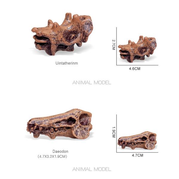 動物の先史時代の哺乳類の頭蓋骨モデル認知玩具置物ギフト