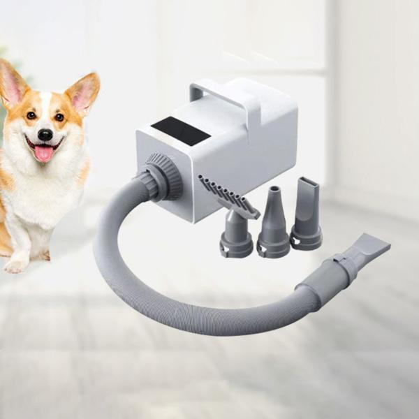 正規品 猫犬ペットヘアドライヤークイックブロードライサイレントクイックブロードライウォーターブロワー素敵なペットのための素晴らしいパワー 【1736197576】(10615円)