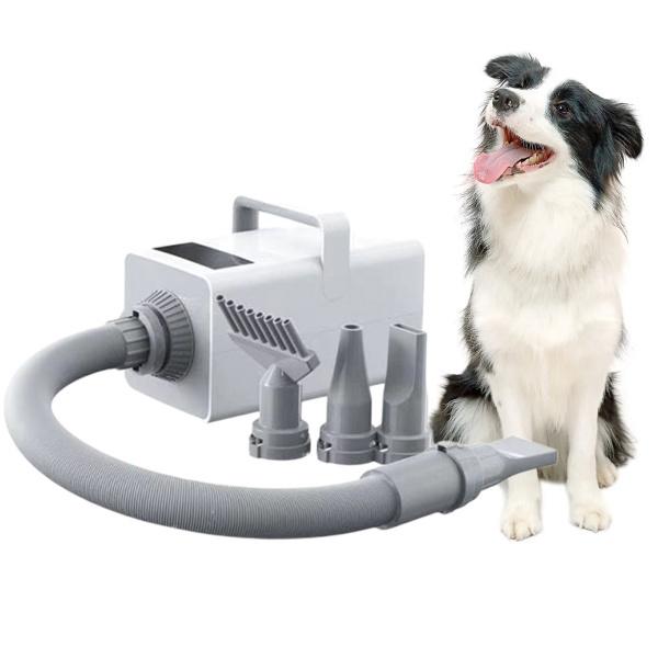 正規品 猫犬ペットヘアドライヤークイックブロードライサイレントクイックブロードライウォーターブロワー素敵なペットのための素晴らしいパワー 【1736197576】(10615円)