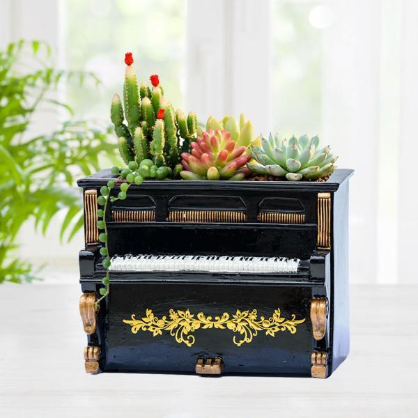 ピアノ型木製プランター　ハンドメイド　多肉植物　寄せ植え Grand piano』小さなピアノを奏でる様に 多肉植物 寄せ植え succulent