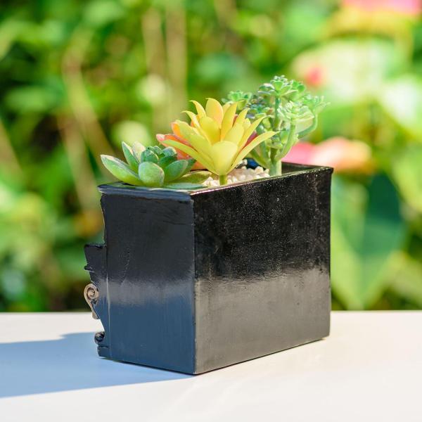 ピアノ型木製プランター　ハンドメイド　多肉植物　寄せ植え ピアノ型プランターカバーに寄植えしました🎵 | CAINZ DIY Square