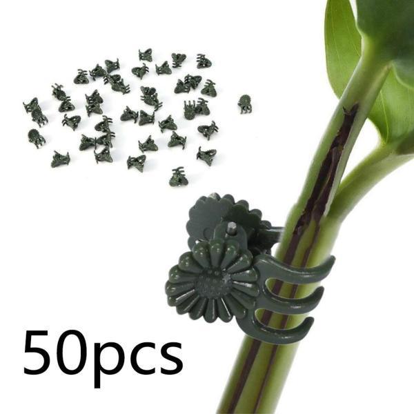 売れ筋 セール商品 裏庭の農場の茎のつるのための50の蘭のクリップの花の蘭の茎のクリップのセット rufaida-health.com rufaida-health.com