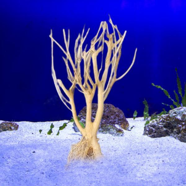 水族館の水槽の装飾品の造園盆栽のためのミニ流木小木の枝 : STK