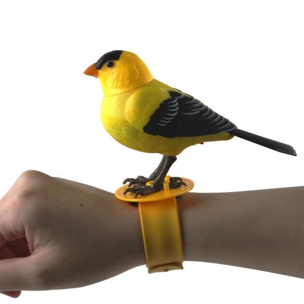 【comatema : 即購入可◎】ことりのおおきなあそびば comatema : 即購入可◎】ことりのおおきなあそびば 真】ことりの