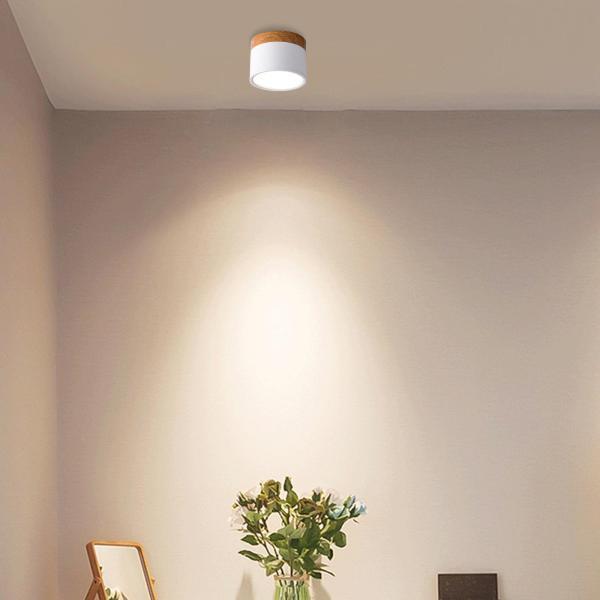 現代のLED天井スポットライト表面実装天井ランプ天井器具照明12W