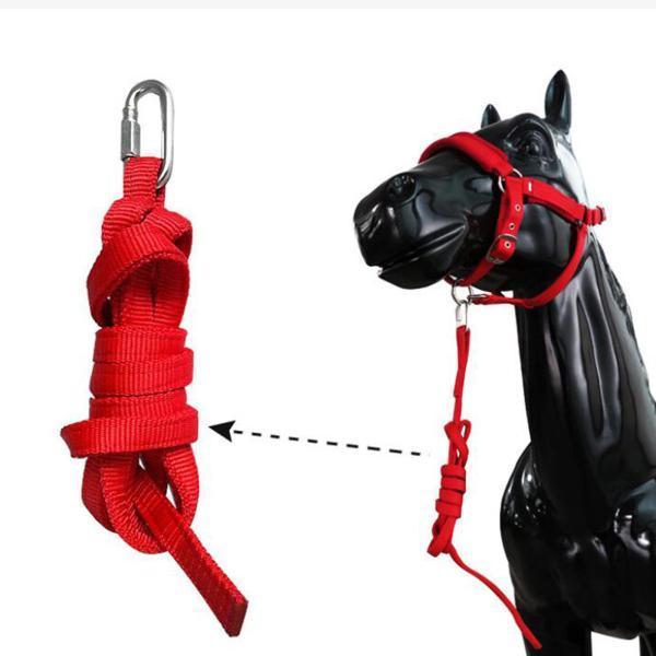 Red Haute Horse ホルター リードセット 頭絡 乗馬 馬術 馬具 中古】Red Haute Horse ホルター リードセット 頭絡 乗馬 馬術