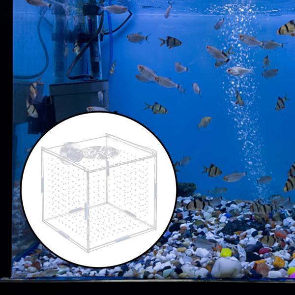 アクリル水槽隔離ボックス魚飼育ホルダー水槽インキュベーターボックス
