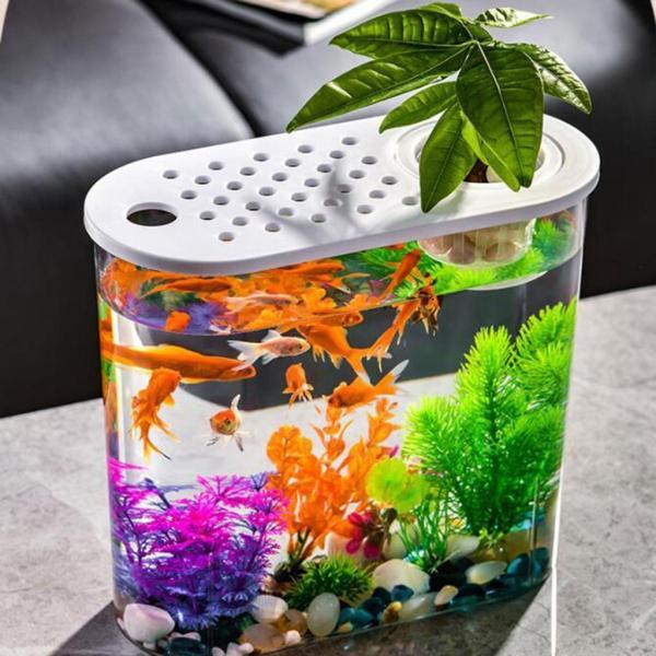 水槽 自動リサイクルシステム水槽 ミニアクアリウム 金魚鉢 ミニ水槽クリアタンクポータブル卓上金魚鉢小型デスクトップ水族館