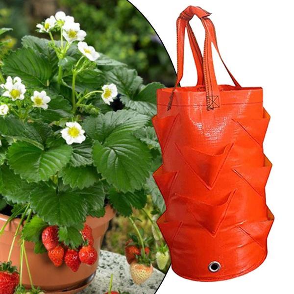イチゴ栽培バッグ 3ガロン 12個の植え付け穴付き 吊り下げ フェルト生地 イチゴ栽培バッグ 3 ガロン ポケット付き 耐久性のある吊り下げ