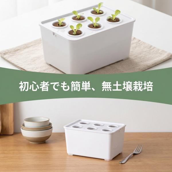水耕栽培システムキット水耕栽培システム 6穴 水耕栽培キット 水耕栽培