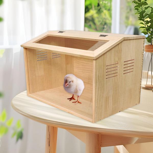ひよこ用育雛箱 鶏小屋 ペットの生息地 小動物の生息地 ハムスターの