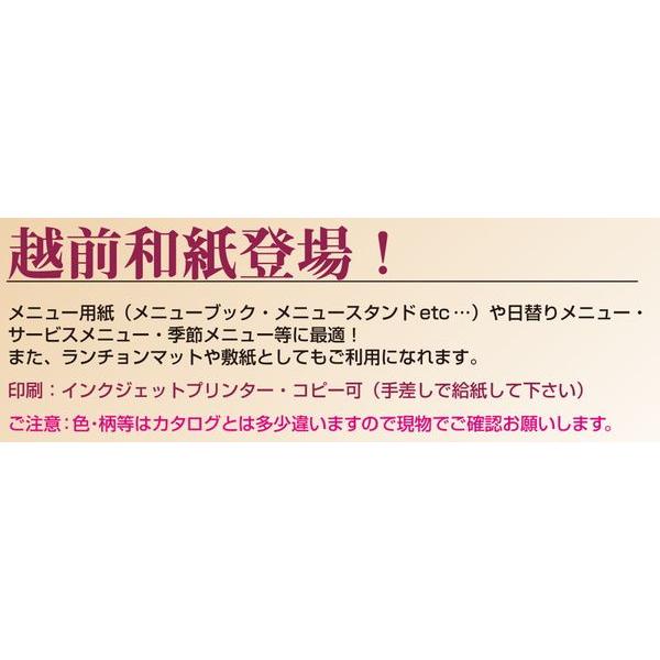 越前和紙 OA 和紙 金銀 雲竜 A4 10枚入 10セット OA-41 / えいむ ランチョンマット レーザー・インクジェット対応 |  | 02