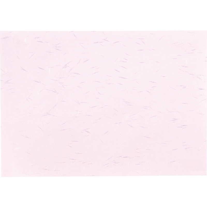 越前和紙 OA 和紙 大典紙 B5 10枚入 10セット OB-52 / えいむ ランチョンマット レーザー・インクジェット対応 |  | 05