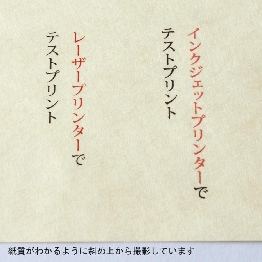 OA 和紙 麻紙 自然色 A4 30枚入 206040410 / 大直 ONAO レーザー・インクジェット対応 4905161542566 |  | 02