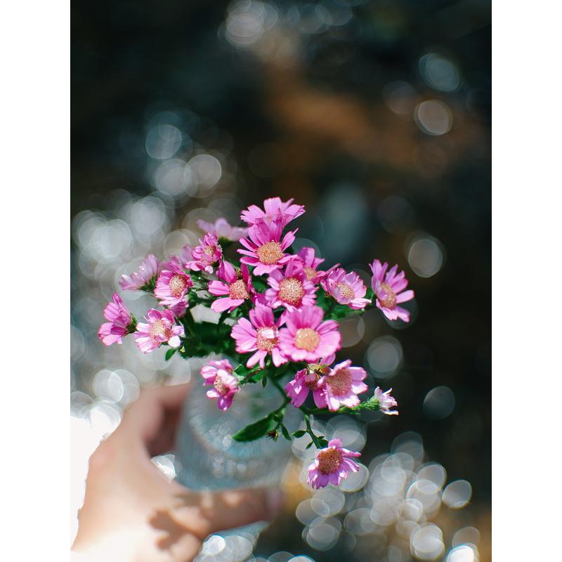 七工匠（7Artisans） 7Artisans 35mm F1.4 AF 富士フイルムXマウント