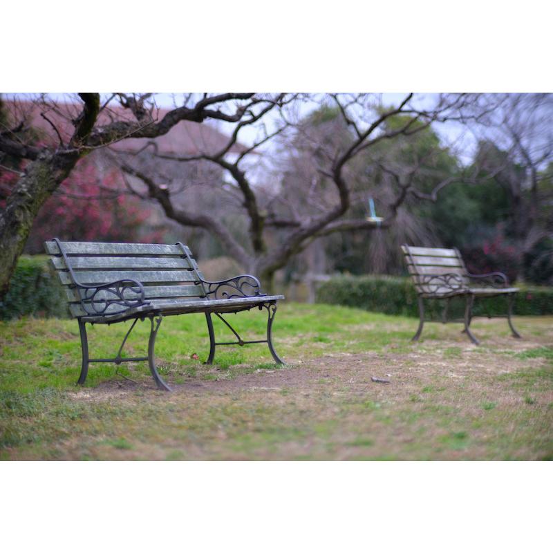 七工匠 7Artisans 50mm F0.95 ニコンZマウント APS-C 単焦点
