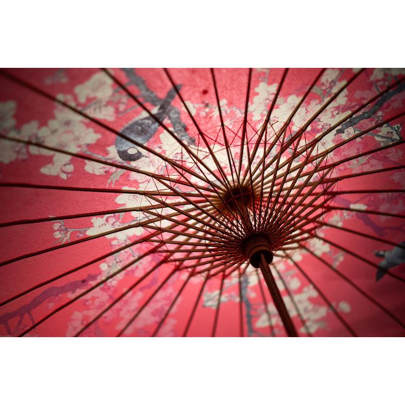 美品 七工匠 7Artisans 50mm F1.05 ニコン Zマウント Amazon.co.jp: 【国内正規品】七工匠 7Artisans 単焦点レンズ