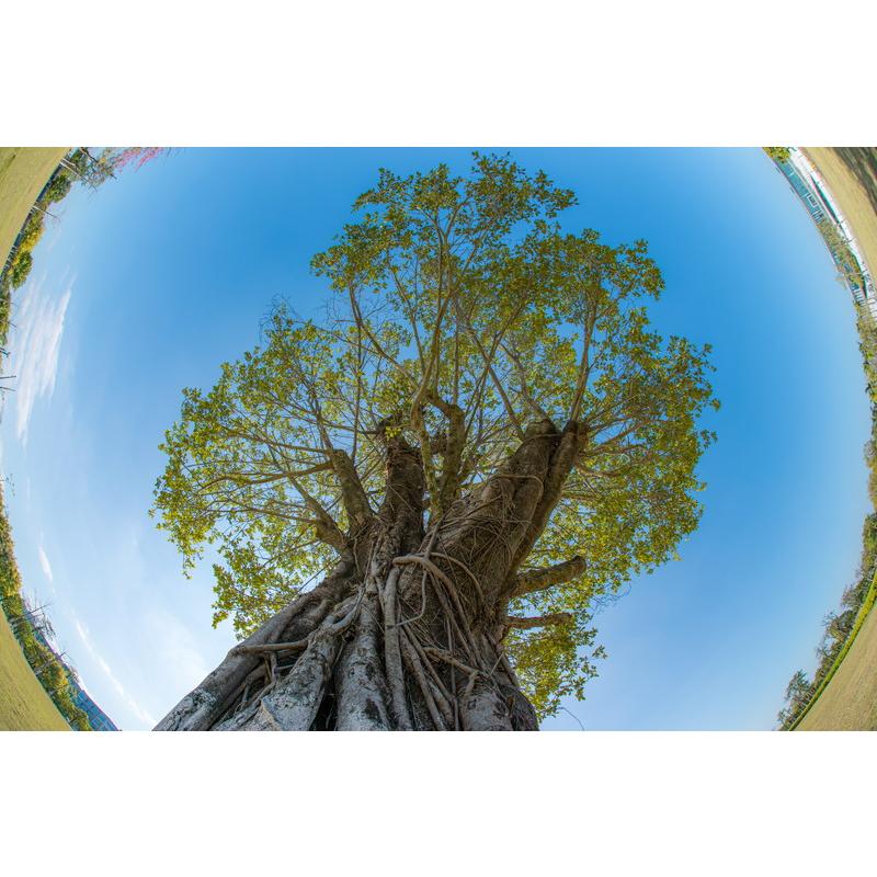 七工匠（7Artisans） 7Artisans 6mm F2 FISH-EYE II ED 富士フイルムX