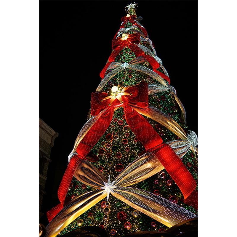 CREATOR 中一光学│ZHONG YI OPTICS 35mm F2.0 - ソニーEマウント 単