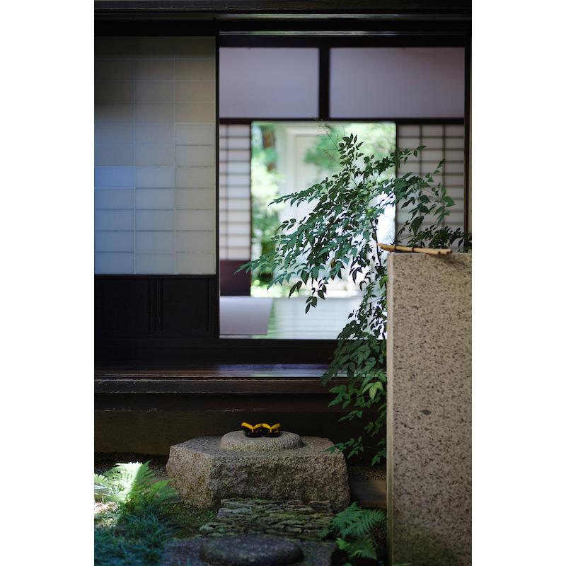 毒鏡 DULENS APO 85mm F2 キヤノンEFマウント 単焦点レンズ 中 毒鏡 DULENS APO 85mm F2 キヤノンEFマウント 単焦点レンズ 中