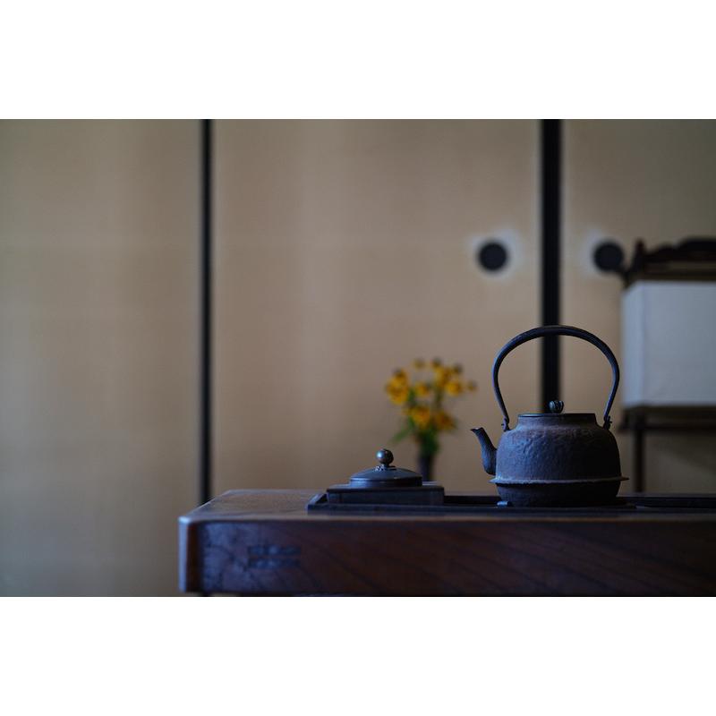 毒鏡 DULENS 毒鏡 DULENS APO 85mm F2 単焦点レンズ シルバー ニコンF