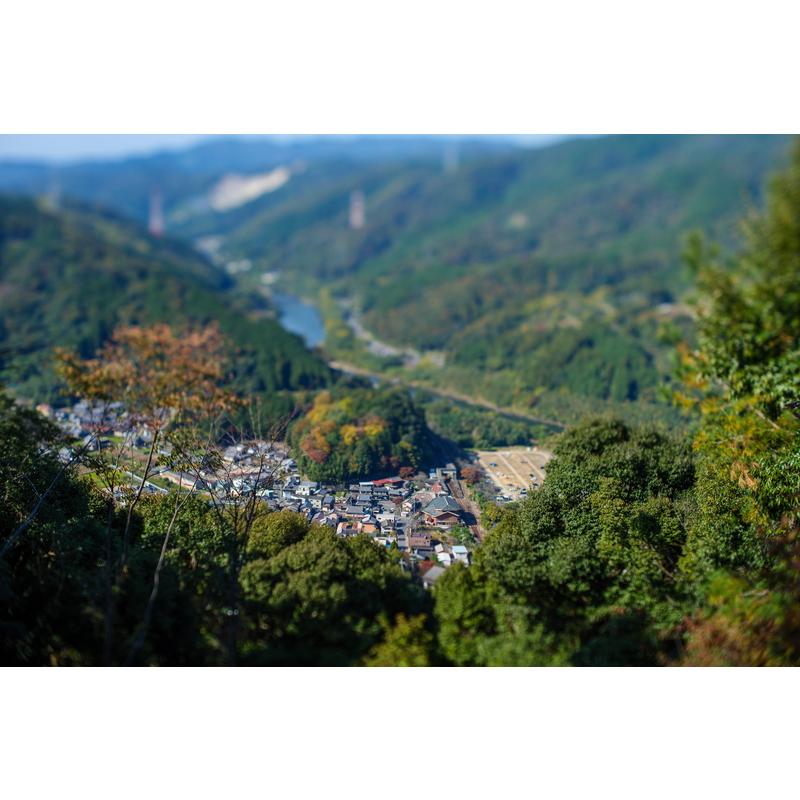 TTArtisan 銘匠光学 Tilt 50mm f/1.4 ソニーEマウント ティルト TTArtisan 銘匠光学 Tilt 50mm f/1.4 ソニーEマウント ティルト