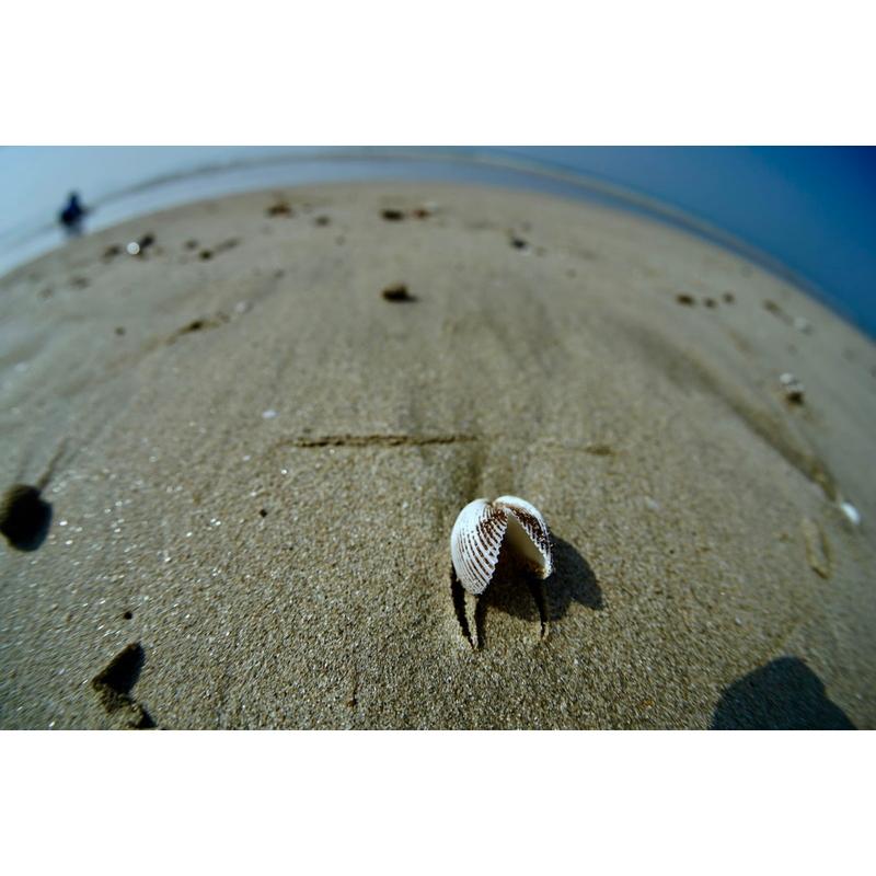 TTArtisan 銘匠光学 11mm f/2.8 Fisheye ニコンFマウント ニコン TTArtisan 銘匠光学 11mm f/2.8 Fisheye ニコンFマウント ニコン