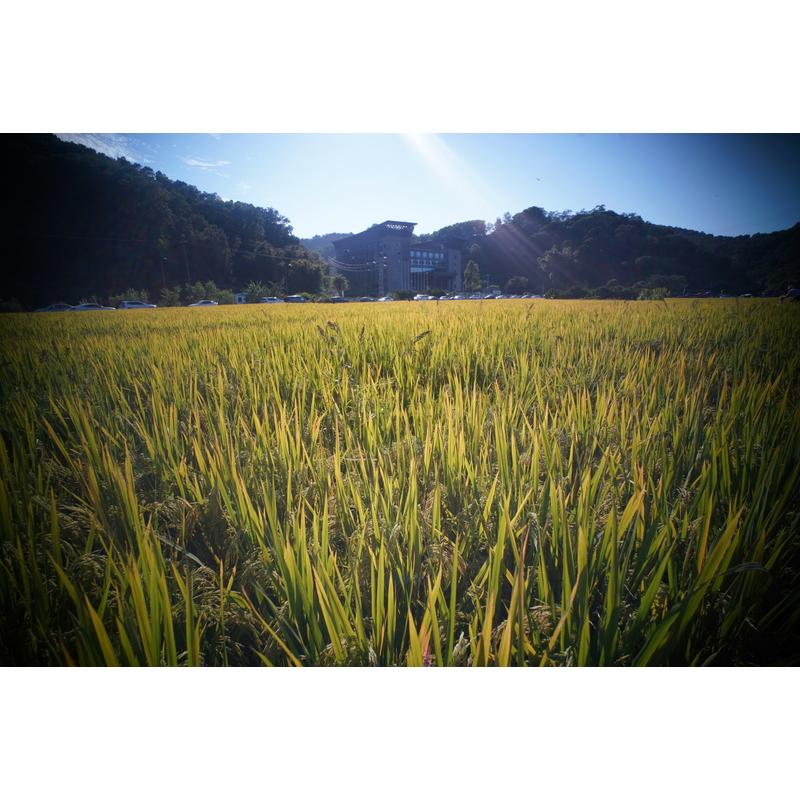 FUNLEADER CAPLENS Pro 18mm f/8 ソニーEマウント ボディ FUNLEADER CAPLENS Pro 18mm f/8 ソニーEマウント ボディ