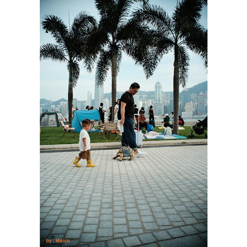 SGーimage SG-image 18mm F6.3 ウルトラシンレンズ ソニーEマウント