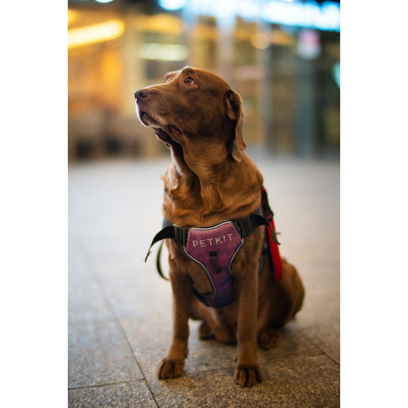 中一光学 SPEEDMASTER 50mm F0.95 III 単焦点レンズ （ソニーEマウント