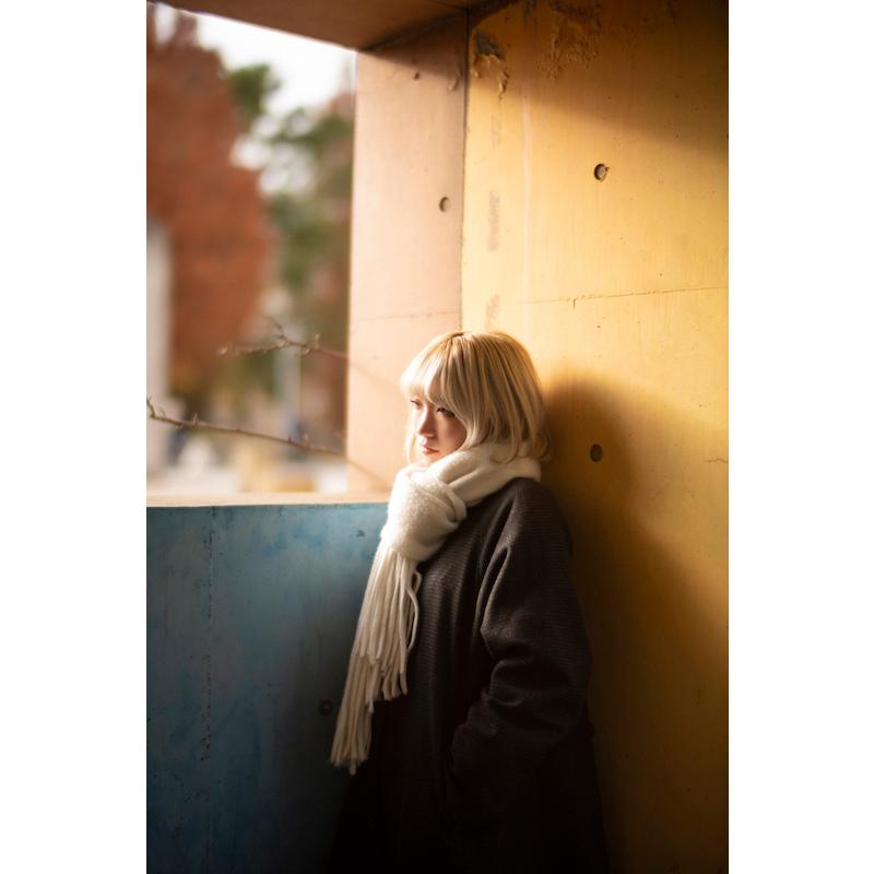 中一光学 SPEEDMASTER 50mm F0.95 ライカMマウント シルバー 単焦点