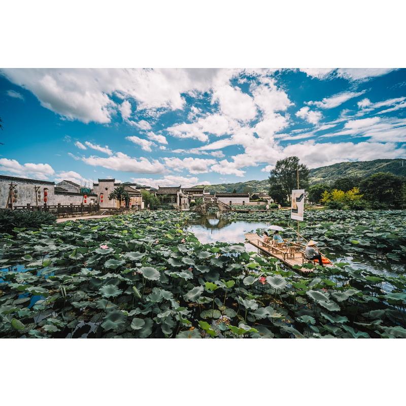 TTArtisan 14mm f/2.8 キヤノンRFマウント フルサイズ 単焦点レンズ 国内正規品 2年保証 広角 マニュアルフォーカス 銘匠光学 | TTArtisan | 10