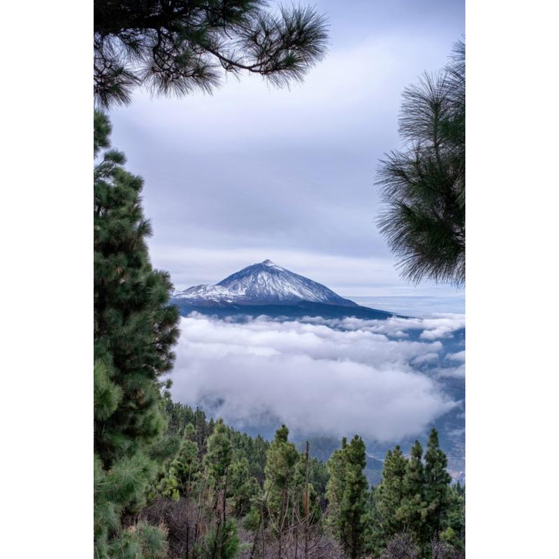 TTArtisan 銘匠光学 AF 23mm F1.8 富士フイルムXマウント 単焦点 TTArtisan 銘匠光学 AF 23mm F1.8 富士フイルムXマウント 単焦点