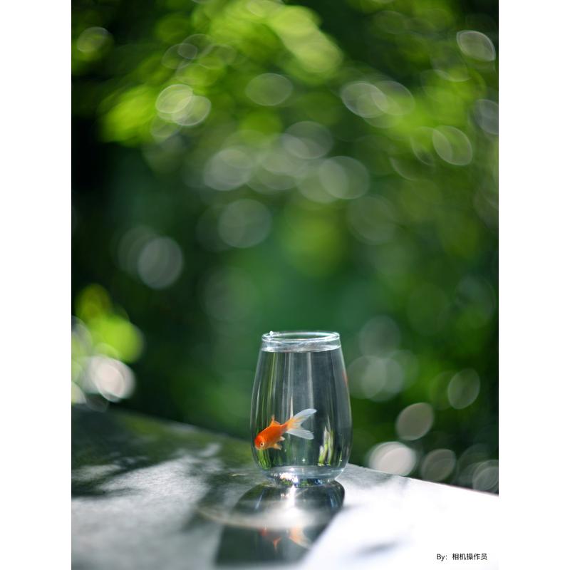 銘匠光学 TTArtisan 75mm f/1.5 M42 ぐるぐるボケレンズ + ペンタックスKマウント変換アダプター セット シルバー 中望遠 | TTArtisan | 04