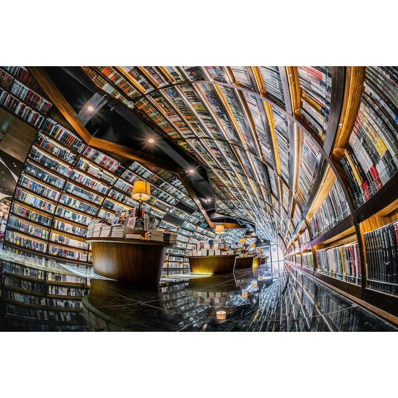 TTArtisan 銘匠光学 11mm f/2.8 Fisheye ニコンZマウント 単焦点 TTArtisan 銘匠光学 11mm f/2.8 Fisheye ニコンZマウント 単焦点