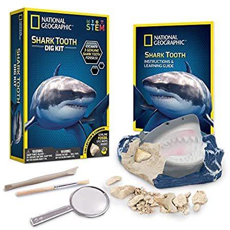 特別価格　[ナショナルジオグラフィック]National Geographic Shark Tooth Dig Kit By NGSHARK [並行輸入品]