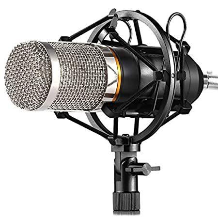 【楽ギフ_包装】 Studio Cardioid Microphone, Condenser BM-800 特別価格　ZINGYOU Recording w Microphone USBグッズ