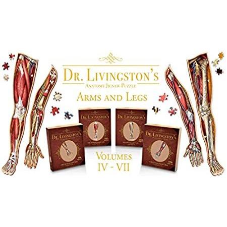 着後レビューで 送料無料 特別価格人間の手足 解剖学 体 器 胃 肝臓 腸の正確な医療イラスト好評販売中 Livingstonのユニークな形状の科学パズル Dr バンドル ジグソーパズル パズルゲーム Hqpt Com