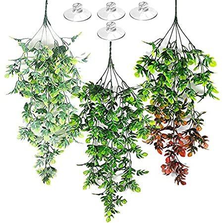 特別価格 E.YOMOQGG Reptile Plants Hanging Artificial Plastic Vines 3 PCS Terrarium w レイアウト用品