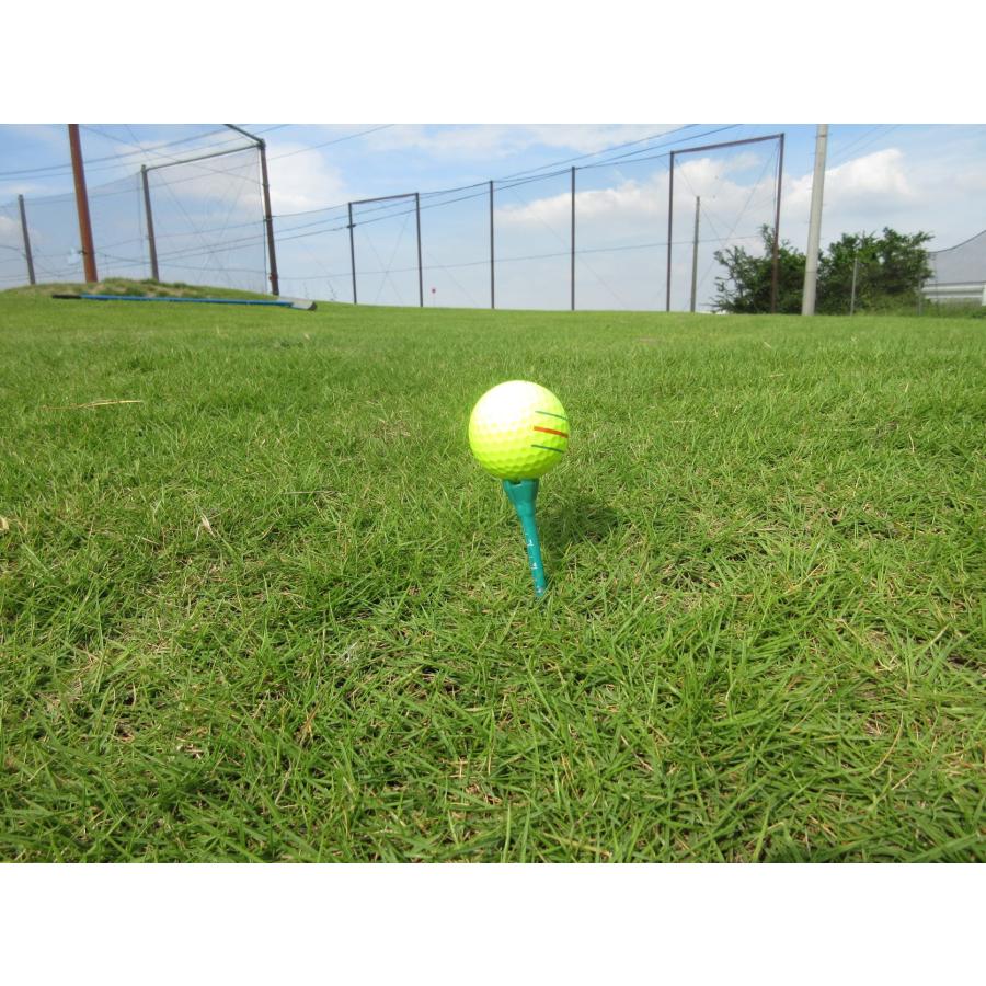 ホークティー( 1セット販売)　ドラコン競技公認ティー　飛距離アップ　驚異の耐久性　目盛り付きのため簡単に好みの高さに設定可能 |  | 05