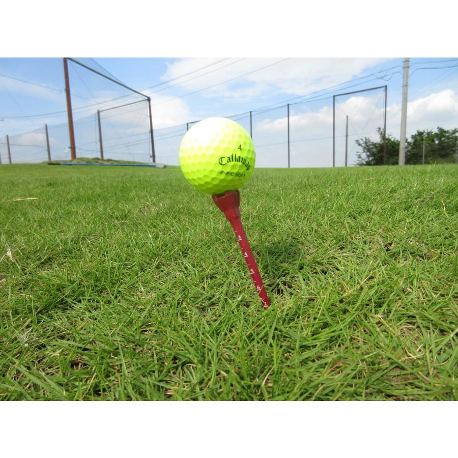 ホークティー( 1セット販売)　ドラコン競技公認ティー　飛距離アップ　驚異の耐久性　目盛り付きのため簡単に好みの高さに設定可能 |  | 08