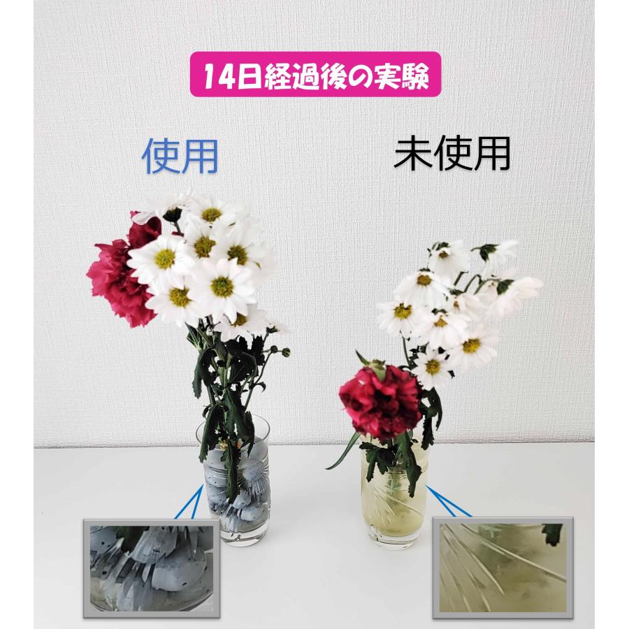 水のお守り（20φ 10個入)　切花　切り花　金属イオン　銅イオン　抗菌　花瓶　　仏花 |  | 02