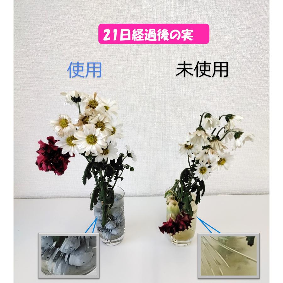 水のお守り（20φ 10個入)　切花　切り花　金属イオン　銅イオン　抗菌　花瓶　　仏花 |  | 03