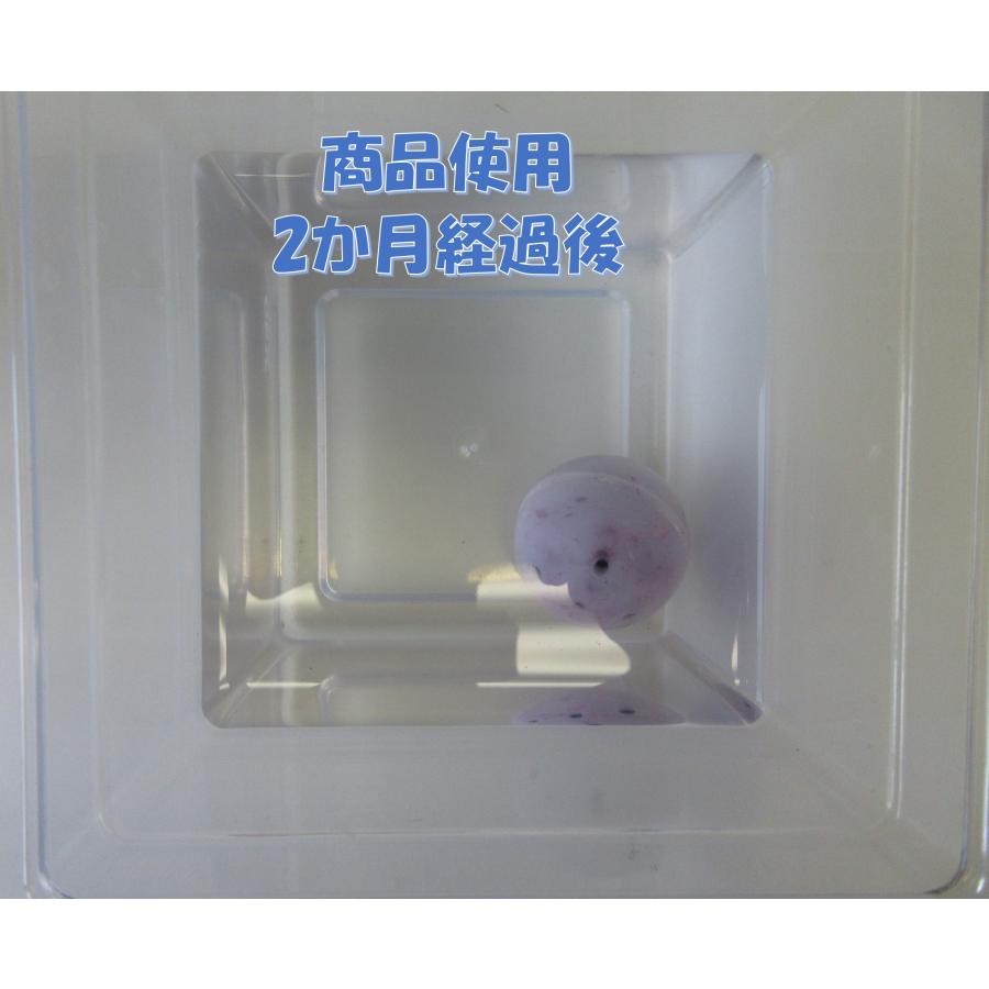 水のお守り（35φ 1個入)　加湿器　水槽　金属イオン　銅イオン　抗菌　花瓶　 |  | 03