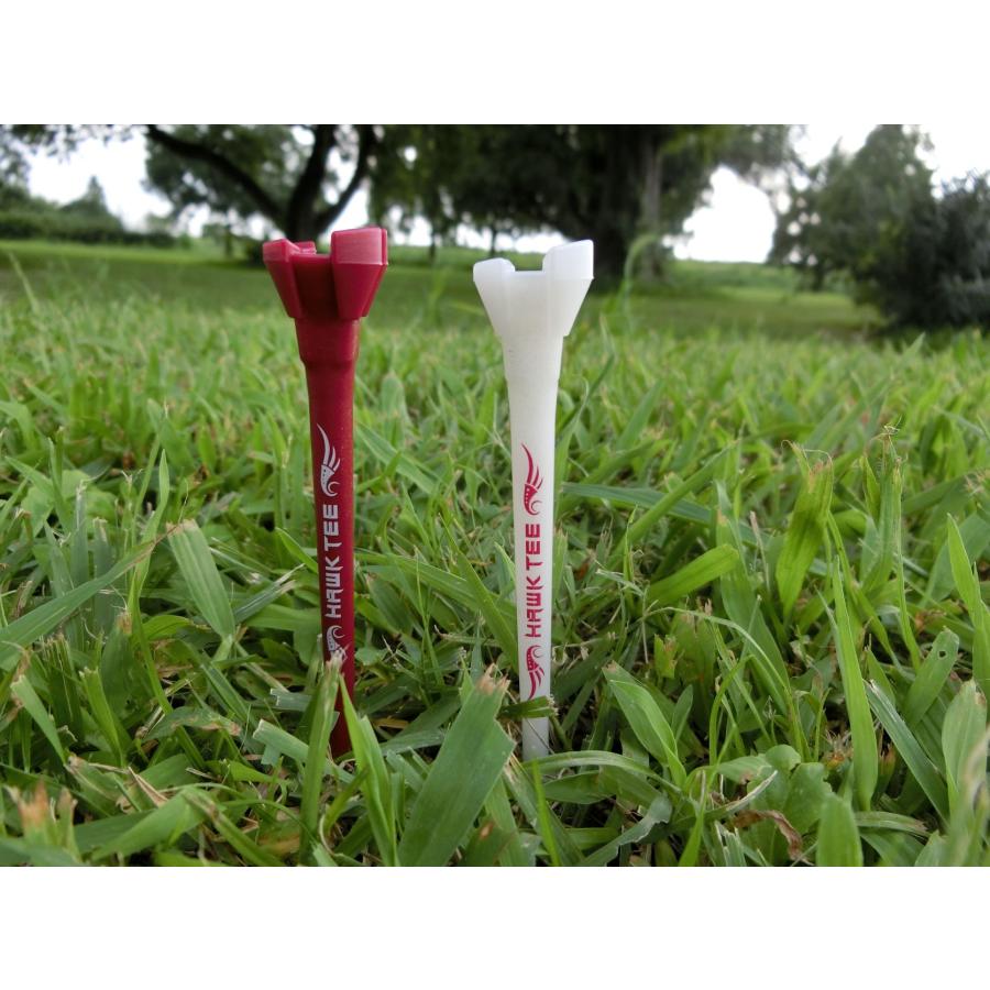 ホークティー(2セット自由に組合せ)　ドラコン競技公認ティー　飛距離アップ　驚異の耐久性　目盛り付きのため簡単に好みの高さに設定可能 |  | 06