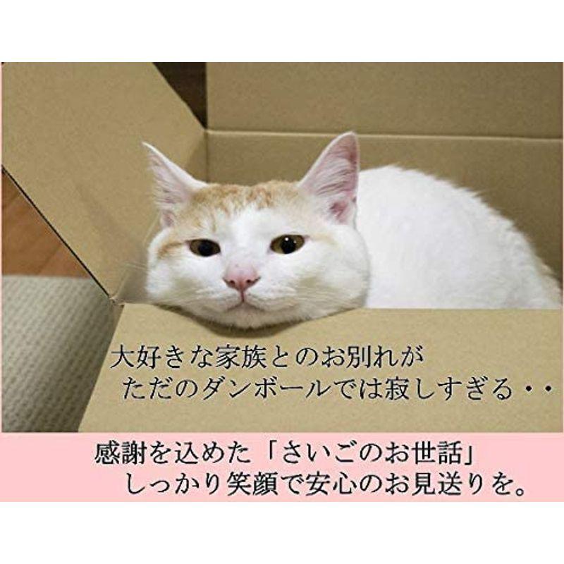 ペット 棺 小型犬 ネコ用棺 小動物用 お別れ ペット葬 ペット棺 ダンボール ペット棺桶 ひつぎ 猫 犬用棺 1セット 段ボール棺